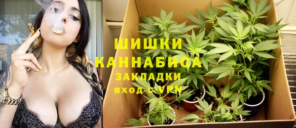 амф Алзамай