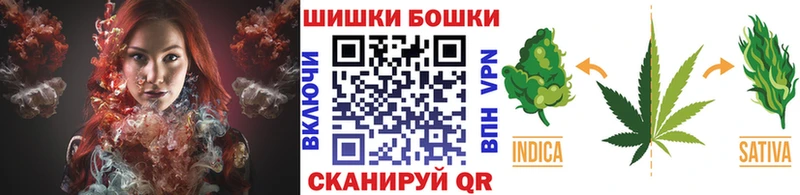 Бошки Шишки Amnesia  Чадан 